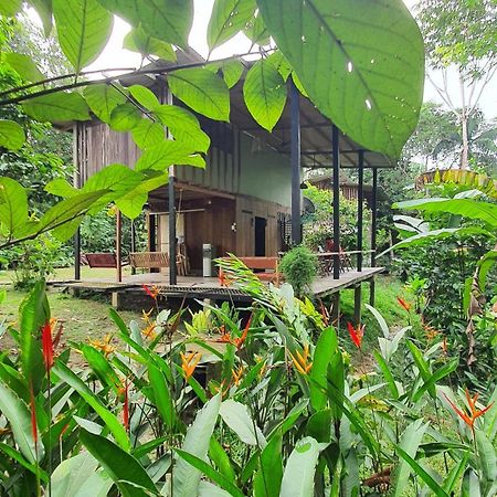 Amazona Lodge เลติเซีย ภายนอก รูปภาพ