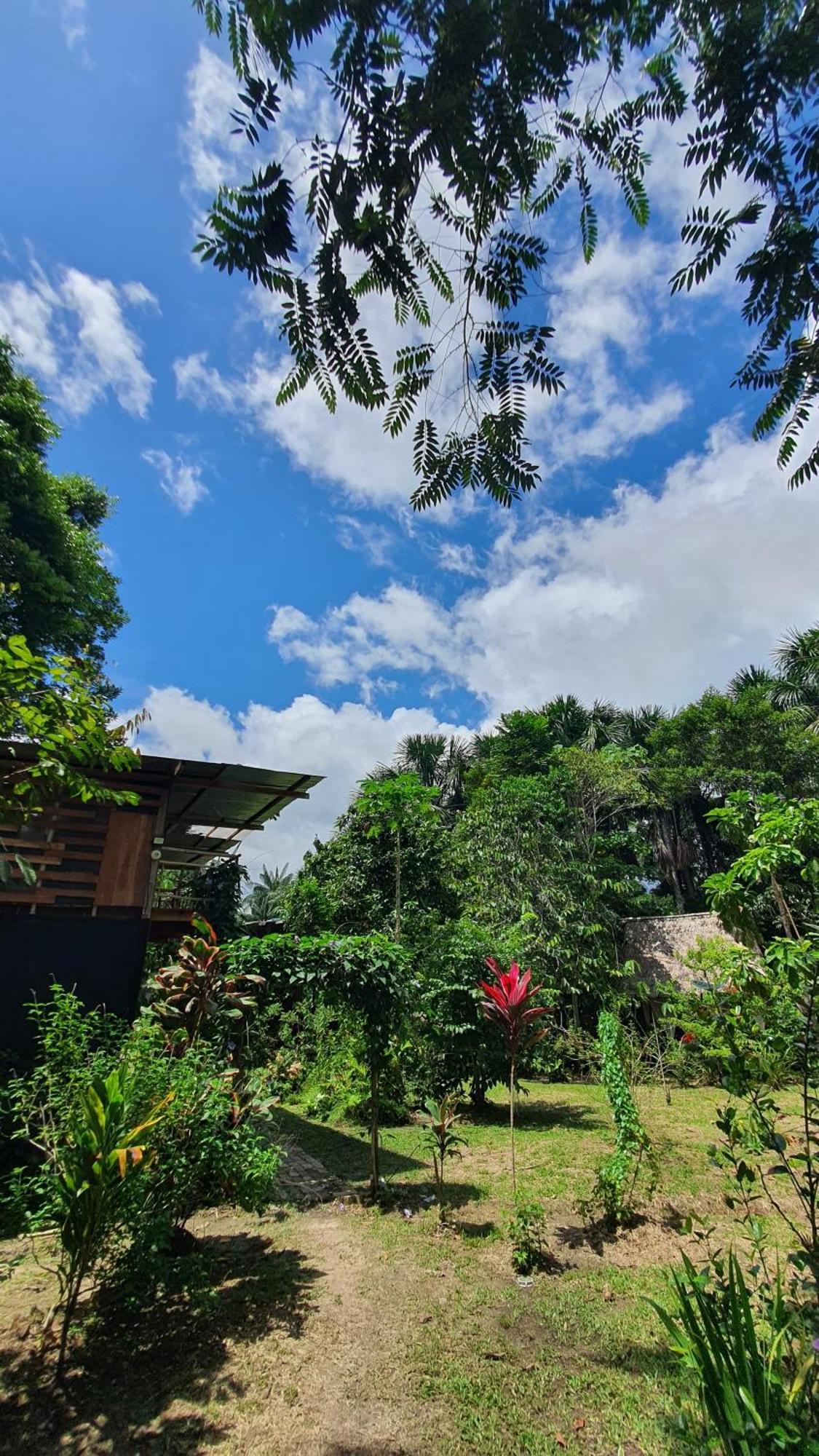 Amazona Lodge เลติเซีย ภายนอก รูปภาพ