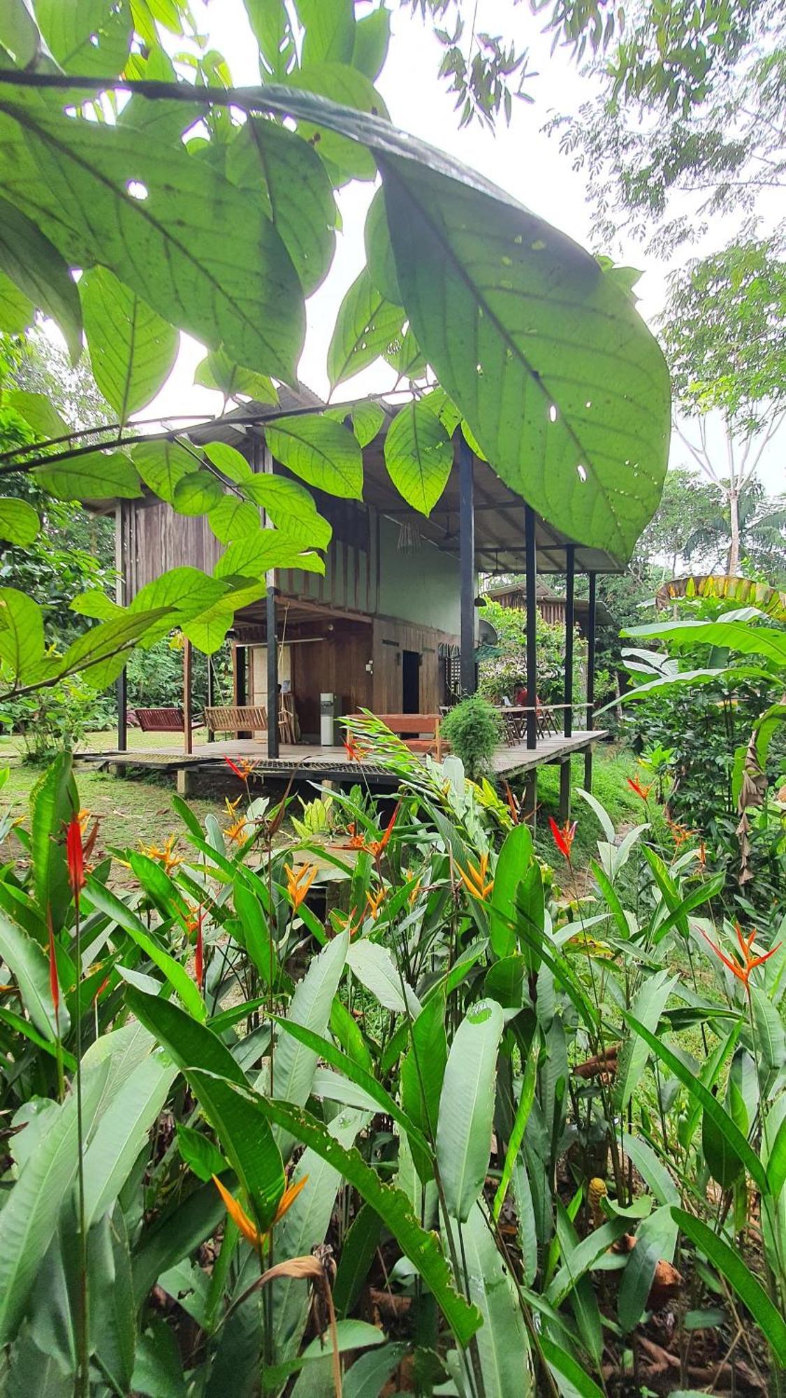 Amazona Lodge เลติเซีย ภายนอก รูปภาพ