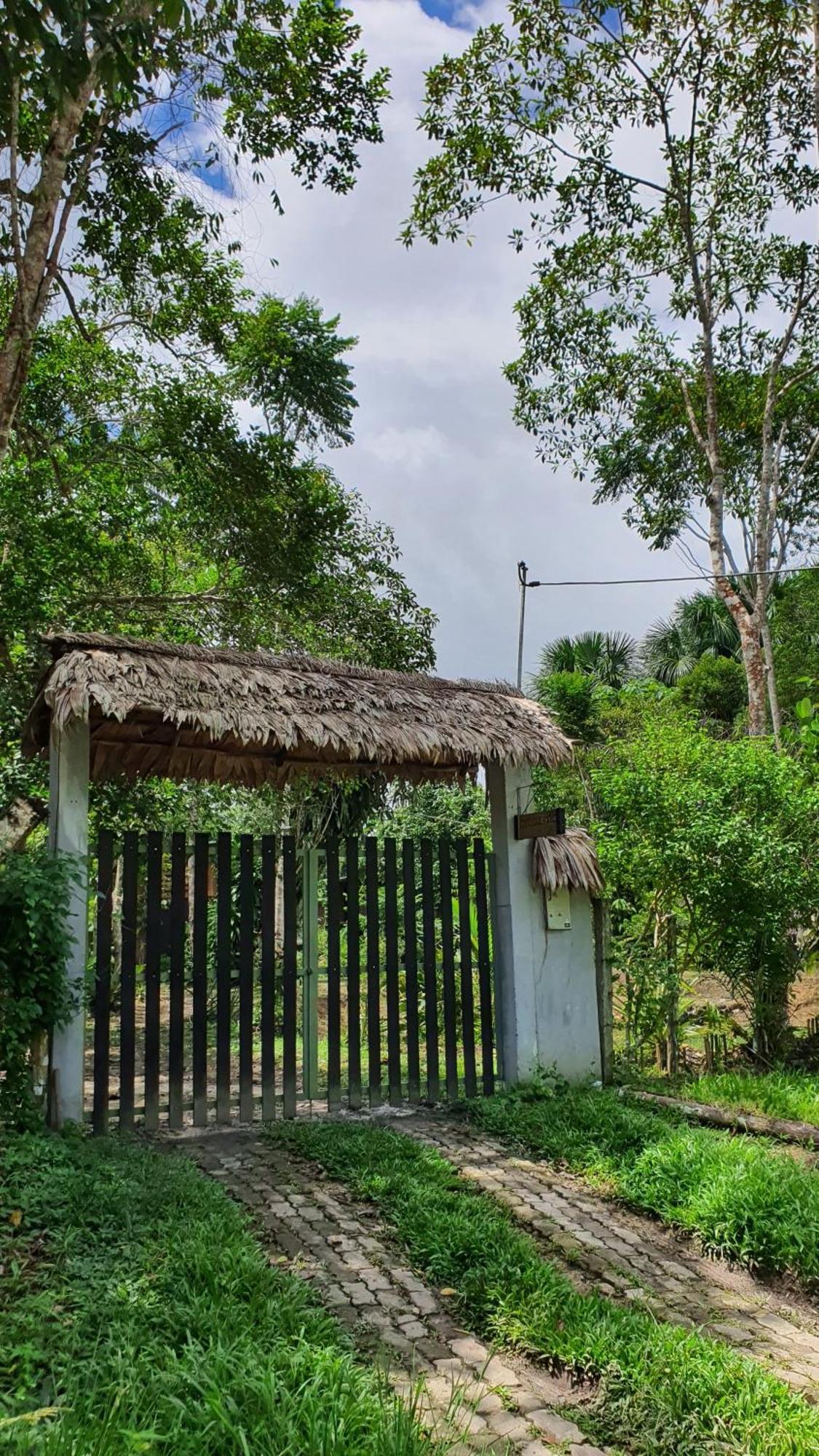Amazona Lodge เลติเซีย ภายนอก รูปภาพ