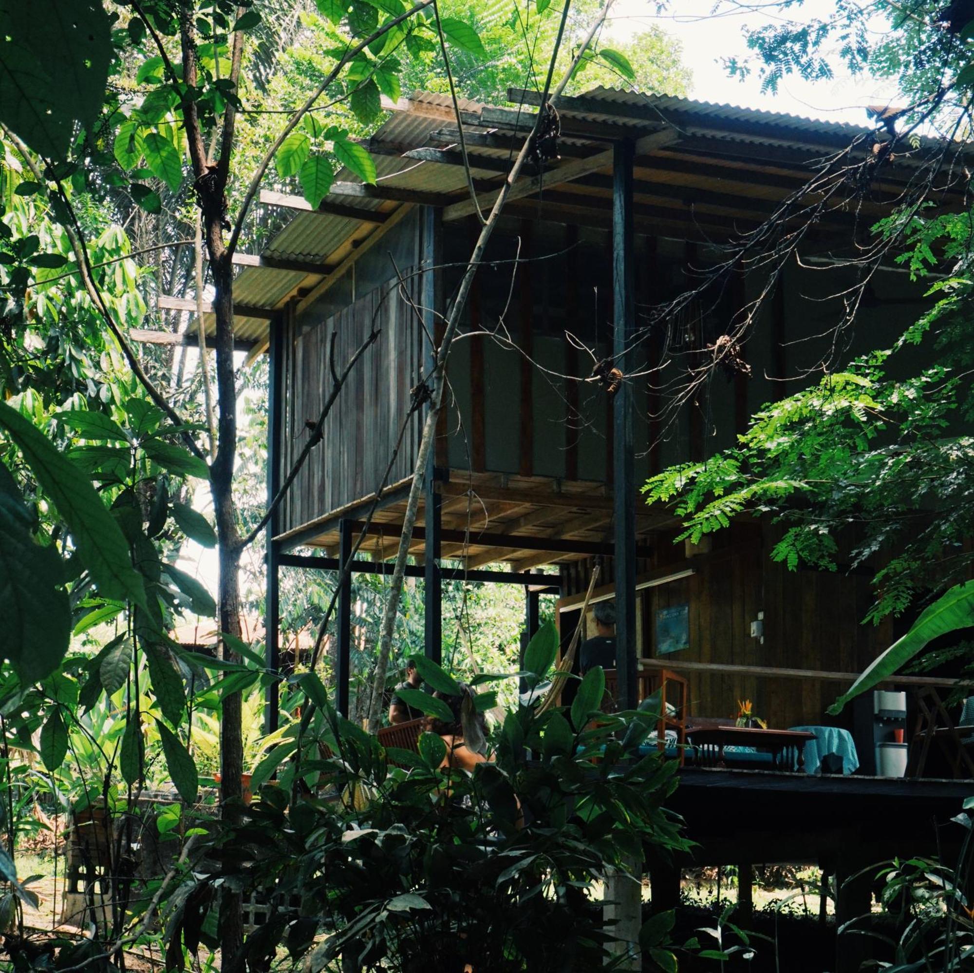 Amazona Lodge เลติเซีย ภายนอก รูปภาพ